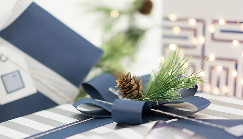 gift ideas for premed students