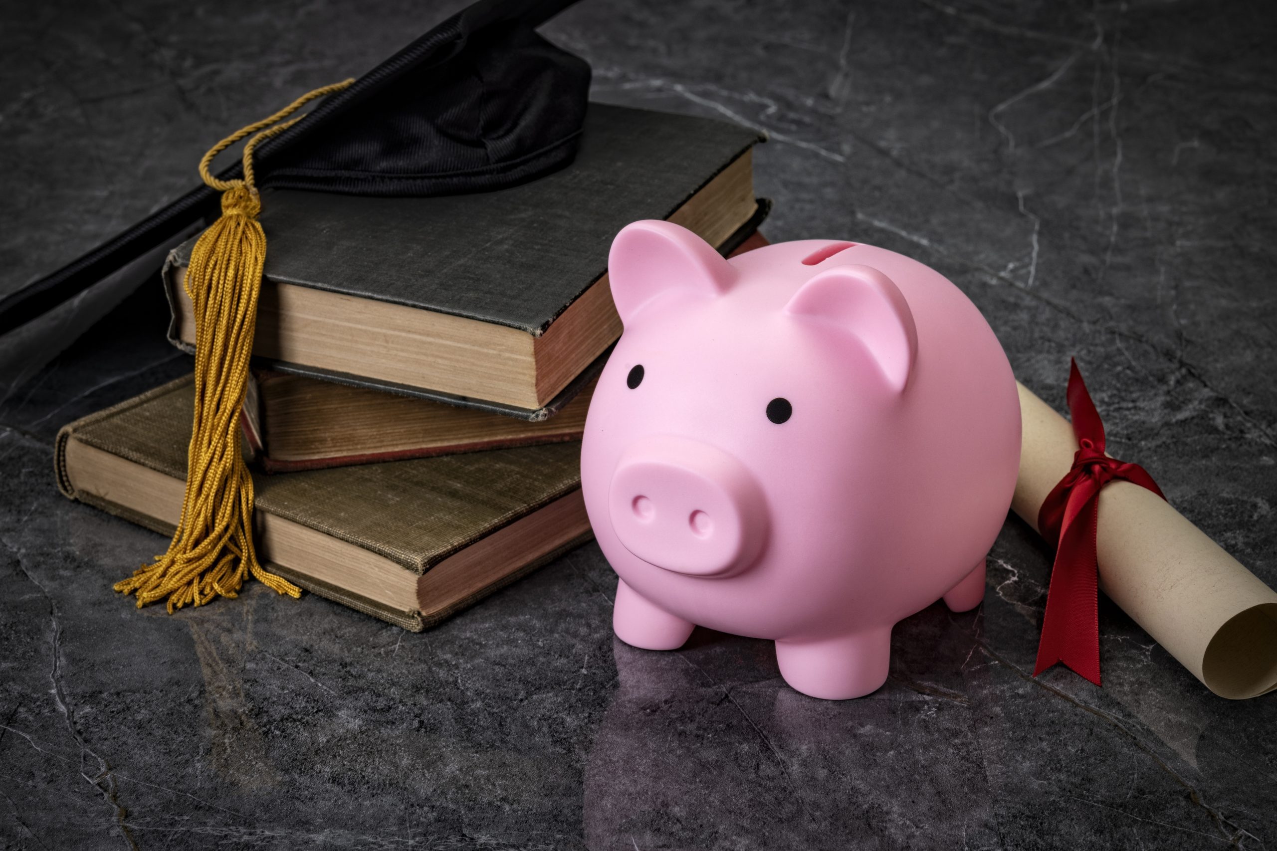 how much does law school cost